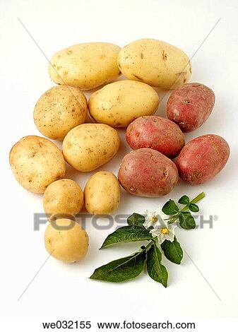 Potatoes View Large Photo Image Stock Photography - Potatoes. Fotosearch