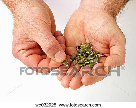 Pumpkin seeds View Large Photo Image Stock Photo - Pumpkin seeds. Fotosearch