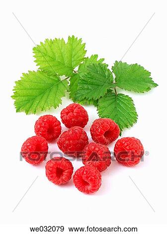 Stock Photo - Raspberries. Fotosearch