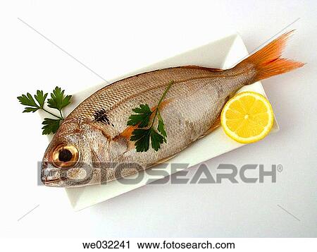Red bream View Large Photo Image Stock Image - Red bream. Fotosearch