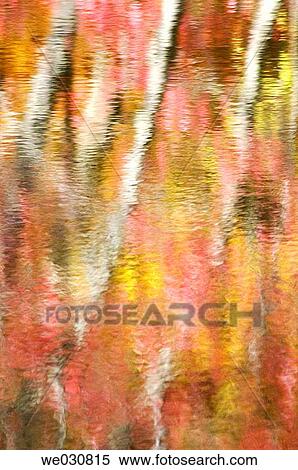 Reflections on Hidden Lake, Poconos, PA, USA View Large Photo Image Stock Photography - Reflections on Hidden Lake, Poconos, PA, USA. Fotosearch