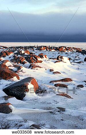 Scenery, Churchill, Manitoba, Canada View Large Photo Image Stock Photo - Scenery, Churchill, Manitoba, Canada. Fotosearch