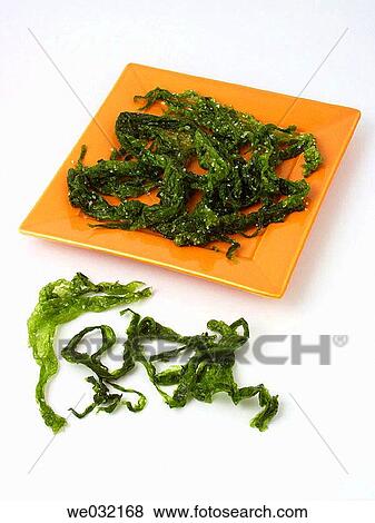 Sea lettuce View Large Photo Image Stock Photo - Sea lettuce. Fotosearch