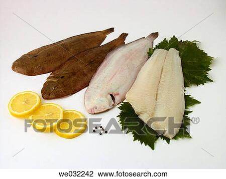 Soles and fillets of halibut View Large Photo Image Stock Image - Soles and fillets of halibut. Fotosearch