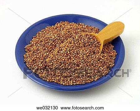 Sorghum View Large Photo Image Stock Image - Sorghum. Fotosearch