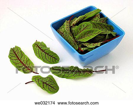 Sorrel View Large Photo Image Picture - Sorrel. Fotosearch