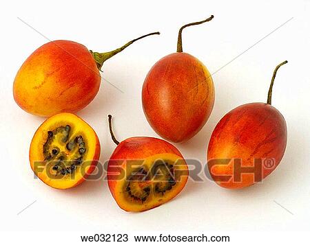Tamarillos View Large Photo Image Stock Image - Tamarillos. Fotosearch