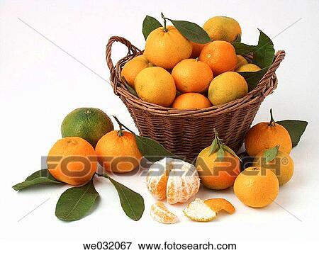 Tangerines View Large Photo Image Stock Photo - Tangerines. Fotosearch