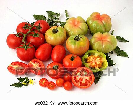 Tomatoes View Large Photo Image Stock Photo - Tomatoes. Fotosearch