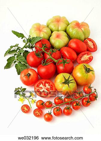 Stock Photograph - Tomatoes. Fotosearch