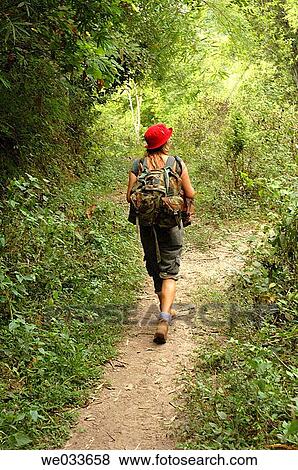 Trekking in Chiang Mai, Thailand View Large Photo Image Stock Photo - Trekking in Chiang Mai, Thailand. Fotosearch