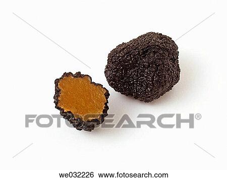 Truffle View Large Photo Image Stock Photograph - Truffle. Fotosearch