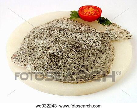 Turbot View Large Photo Image Stock Image - Turbot. Fotosearch