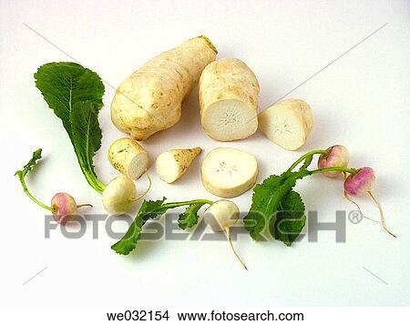 Turnip View Large Photo Image Picture - Turnip. Fotosearch