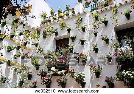 Typical courtyard in the Jewish district, C? rdoba. Andalusia, Spain View Large Photo Image Stock Image - Typical courtyard in the Jewish district, C? rdoba. Andalusia, Spain. Fotosearch