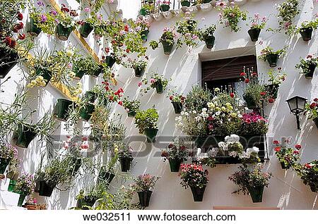 Stock Image - Typical courtyard in the Jewish district, C? rdoba. Andalusia, Spain. Fotosearch