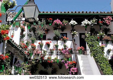 Typical courtyard in the Jewish district, C? rdoba. Andalusia, Spain View Large Photo Image Stock Image - Typical courtyard in the Jewish district, C? rdoba. Andalusia, Spain. Fotosearch