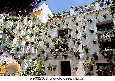 Typical courtyard in the Jewish district, C? rdoba. Andalusia, Spain View Large Photo Image Stock Photo - Typical courtyard in the Jewish district, C? rdoba. Andalusia, Spain. Fotosearch
