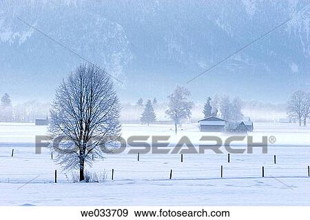 Winter morning. Grossweil, Bavaria, Germany View Large Photo Image Stock Photo - Winter morning. Grossweil, Bavaria, Germany. Fotosearch