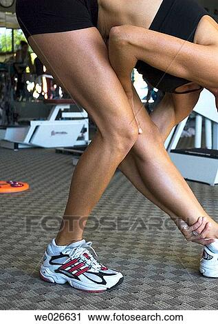 Woman stretching in gym View Large Photo Image Stock Image - Woman stretching in gym. Fotosearch