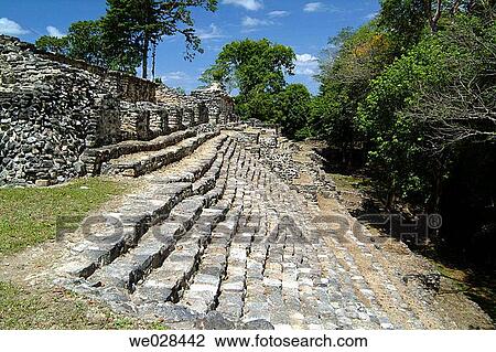 Yaxchilßn. Lacandon Forest. Chiapas. Mexico. View Large Photo Image Stock Image - Yaxchilßn. Lacandon Forest. Chiapas. Mexico.. Fotosearch