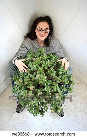 Stock Image - 20? s-30's caucasian woman sitting in corner with large jade plant. Fotosearch