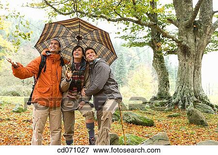 Stock Photo - 30's, autumn, 20's. Fotosearch