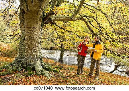 30's, bearing, autumn, 20's View Large Photo Image Stock Image - 30's, bearing, autumn, 20's. Fotosearch