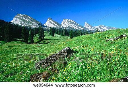 Alps. Spring. View from Alp Sellamatt. Churfirsten, Toggenburg, St. Gallen. Switzerland. View Large Photo Image Picture - Alps. Spring. View from Alp Sellamatt. Churfirsten, Toggenburg, St. Gallen. Switzerland.. Fotosearch