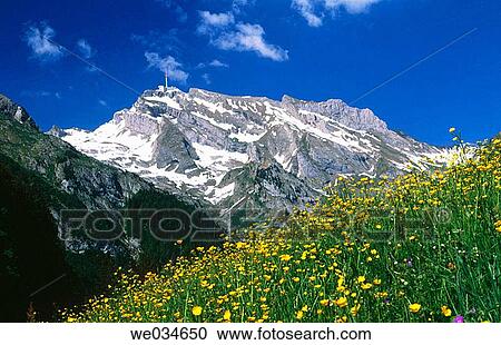Alps, spring, view from Unterwasser. Saentis, 2502m. Appenzell. Switzerland. View Large Photo Image Stock Image - Alps, spring, view from Unterwasser. Saentis, 2502m. Appenzell. Switzerland.. Fotosearch