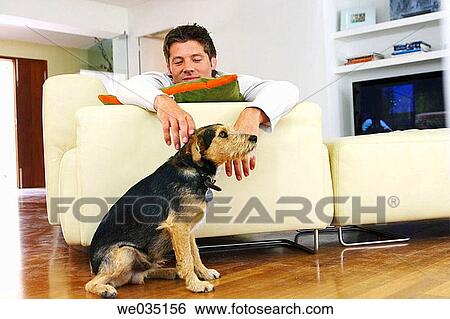 Stock Photograph - animal, calm, at-home, 30's. Fotosearch