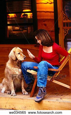 animal, calm, bond, 30's View Large Photo Image Stock Photography - animal, calm, bond, 30's. Fotosearch