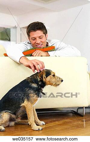 animal, caress, calm, at-home, 30's View Large Photo Image Stock Photo - animal, caress, calm, at-home, 30's. Fotosearch