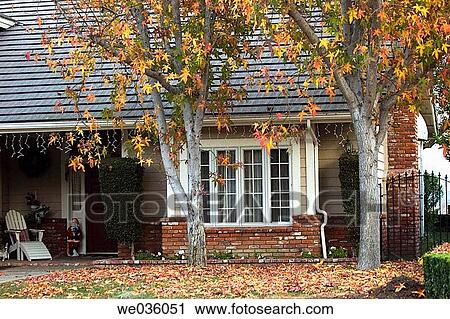 Autumn yard exterior View Large Photo Image Stock Image - Autumn yard exterior. Fotosearch