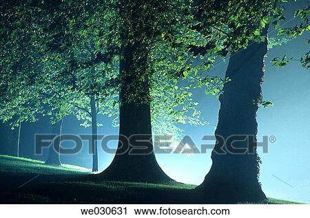backlight, deserted, disturbing, dread View Large Photo Image Stock Image - backlight, deserted, disturbing, dread. Fotosearch