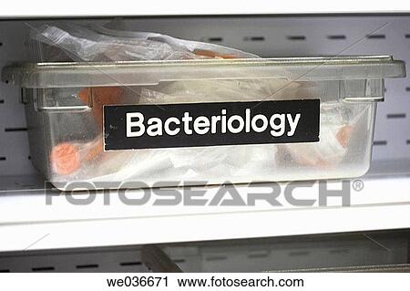 Stock Image - Bacteriology tray in hospital lab. Fotosearch