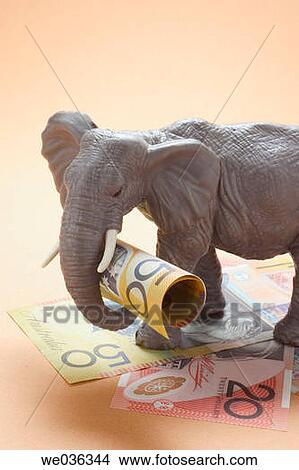 banknote, concept, cash, bill, animal View Large Photo Image Picture - banknote, concept, cash, bill, animal. Fotosearch
