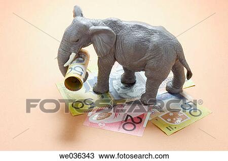 banknote, concept, cash, bill, animal View Large Photo Image Stock Image - banknote, concept, cash, bill, animal. Fotosearch