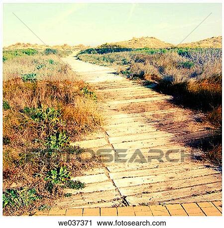 bend, boardwalk, curve, day, horizon View Large Photo Image Stock Image - bend, boardwalk, curve, day, horizon. Fotosearch