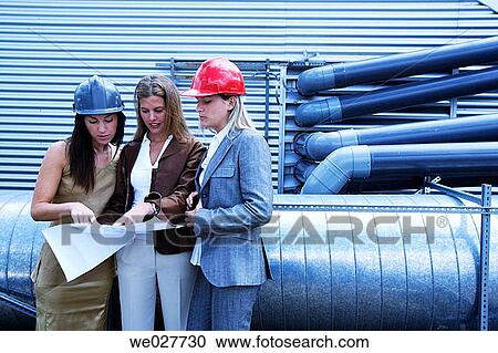 blueprint, colleague, architect View Large Photo Image Stock Image - blueprint, colleague, architect. Fotosearch