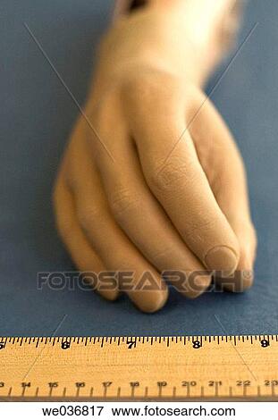 body, concept, Close-up, Body part, Anatomy model View Large Photo Image Stock Photo - body, concept, Close-up, Body part, Anatomy model. Fotosearch
