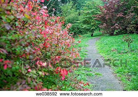Botanical garden, Pagoeta Natural Park, Aia. Guipuzcoa, Euskadi, Spain View Large Photo Image Stock Image - Botanical garden, Pagoeta Natural Park, Aia. Guipuzcoa, Euskadi, Spain. Fotosearch