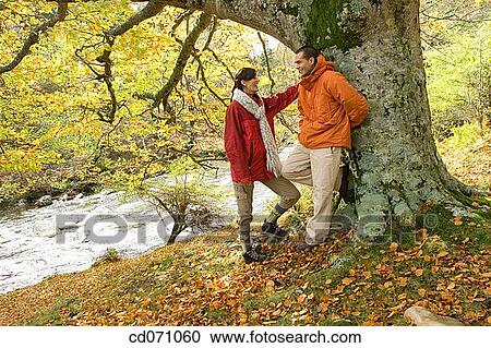 chat, contemporary, autumn View Large Photo Image Stock Image - chat, contemporary, autumn. Fotosearch