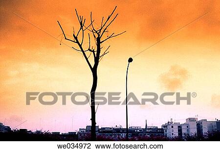 Stock Image - city, contemporary, day, evening. Fotosearch