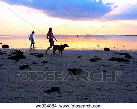 coastal, beach, coast, calm, boy, animal View Large Photo Image Picture - coastal, beach, coast, calm, boy, animal. Fotosearch