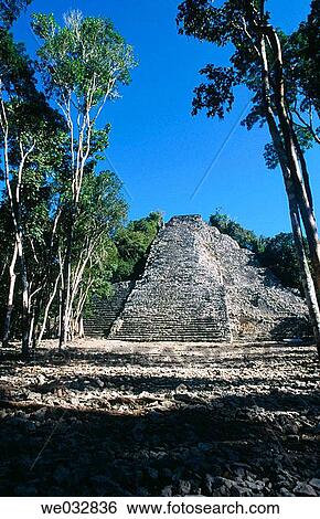 Coba, ruined city of the Pre-Columbian Maya civilization (600 A. D. ). Quintana Roo, Mexico View Large Photo Image Stock Photograph - Coba, ruined city of the Pre-Columbian Maya civilization (600 A. D. ). Quintana Roo, Mexico. Fotosearch
