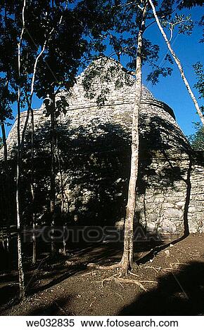 Coba, ruined city of the Pre-Columbian Maya civilization (600 A. D. ). Quintana Roo, Mexico View Large Photo Image Stock Photography - Coba, ruined city of the Pre-Columbian Maya civilization (600 A. D. ). Quintana Roo, Mexico. Fotosearch