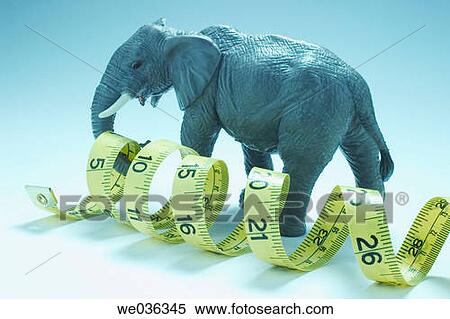 coil, figure, elephant, concept, animal View Large Photo Image Stock Photography - coil, figure, elephant, concept, animal. Fotosearch