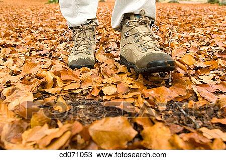 contemporary, day, country, autumn View Large Photo Image Stock Image - contemporary, day, country, autumn. Fotosearch