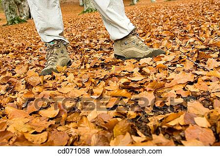 contemporary, day, country, autumn View Large Photo Image Stock Photo - contemporary, day, country, autumn. Fotosearch